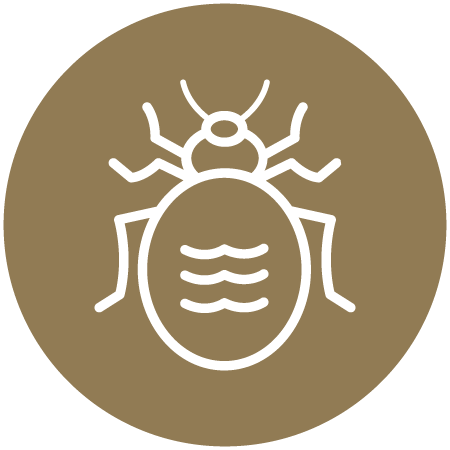 icon_bedbug_gold_circ2 Bed Bugs Icon